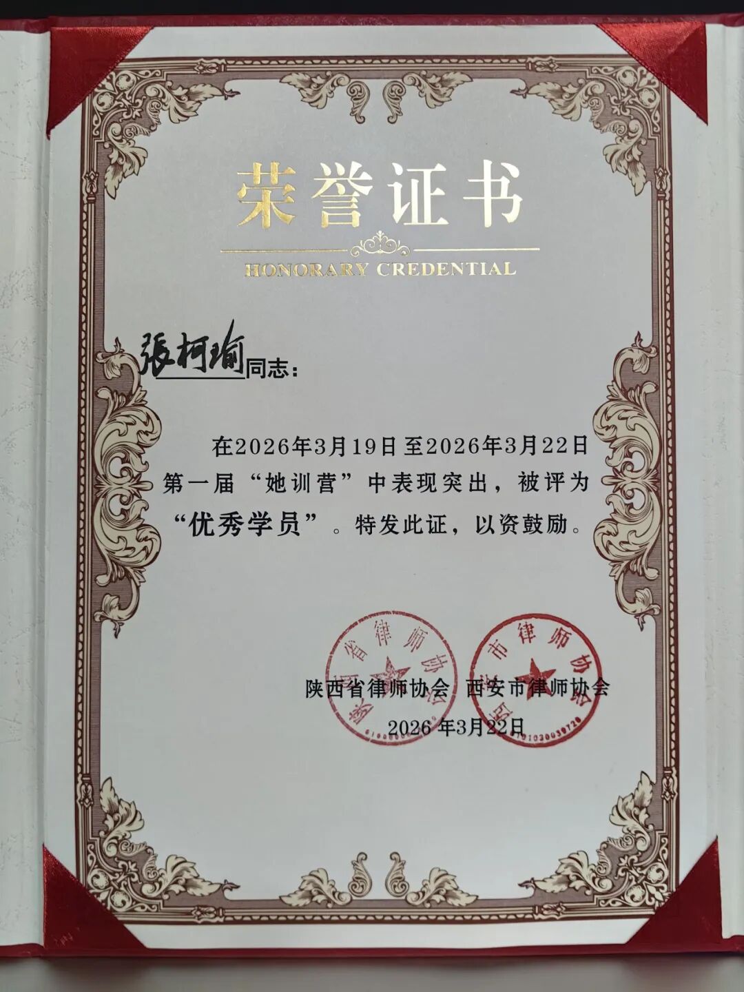 她训营课程与活动